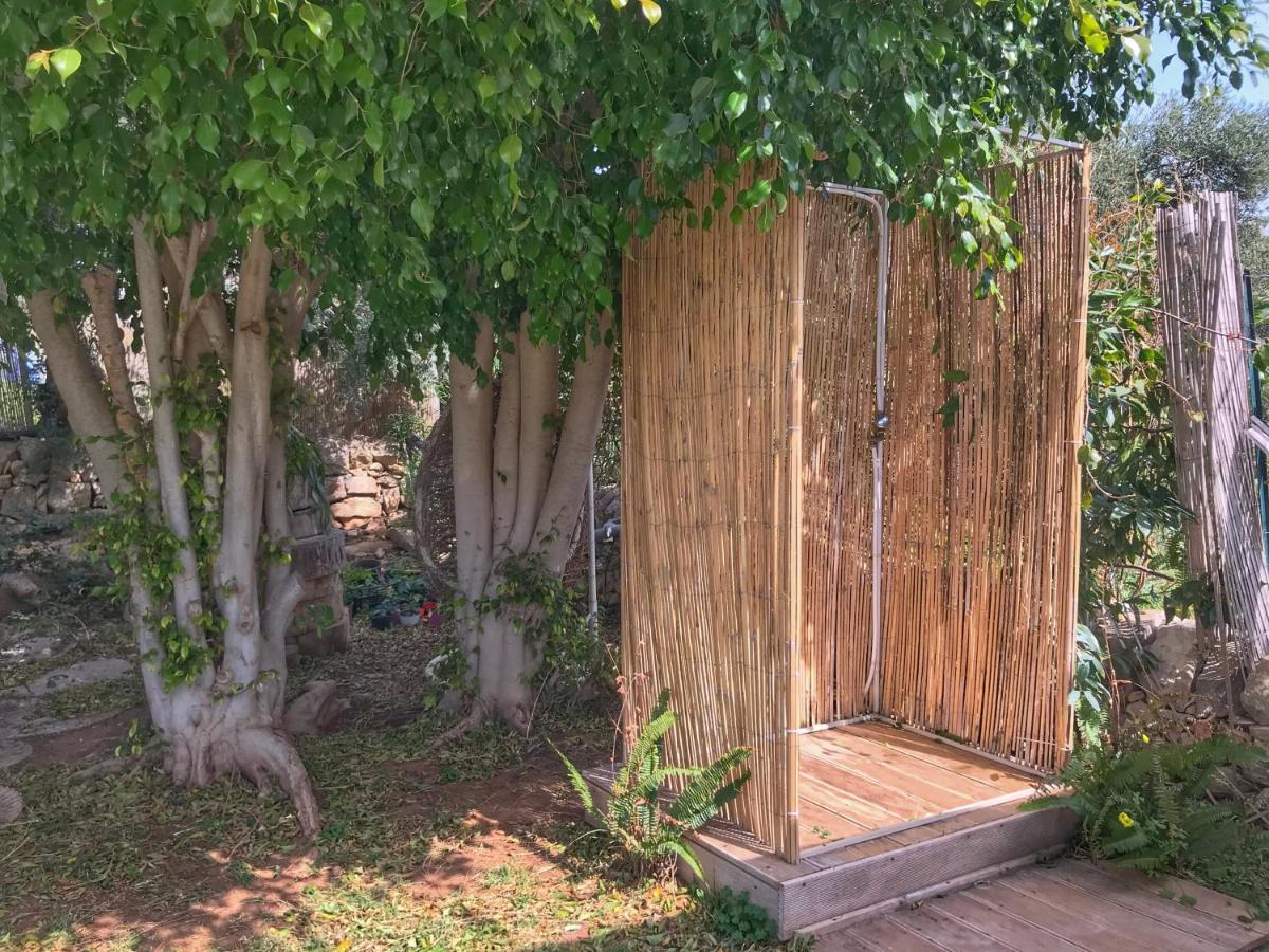 Cottage Sul Lago - Officina Didattica Доналуката Екстериор снимка